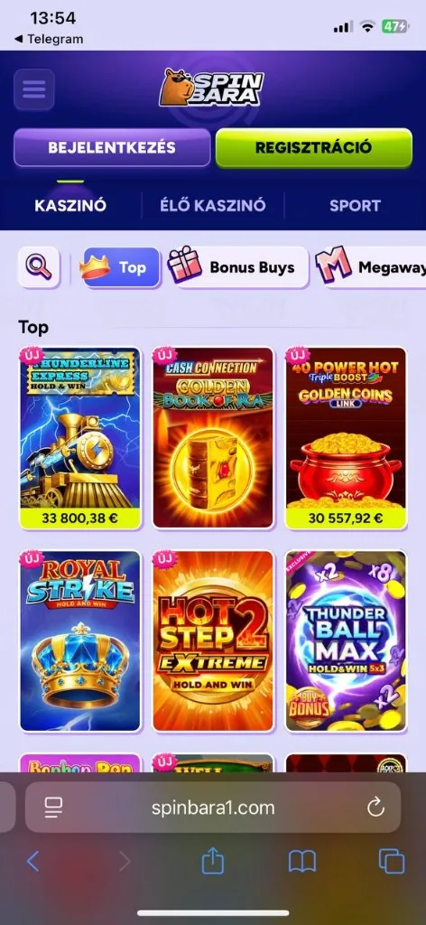 Spinbara mobil nézet 3